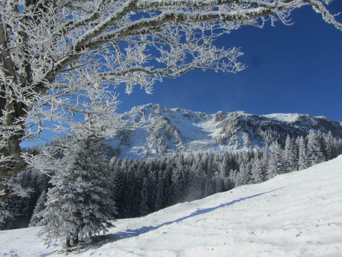 Almgasthaus Seebergalm Turnau 외부 사진