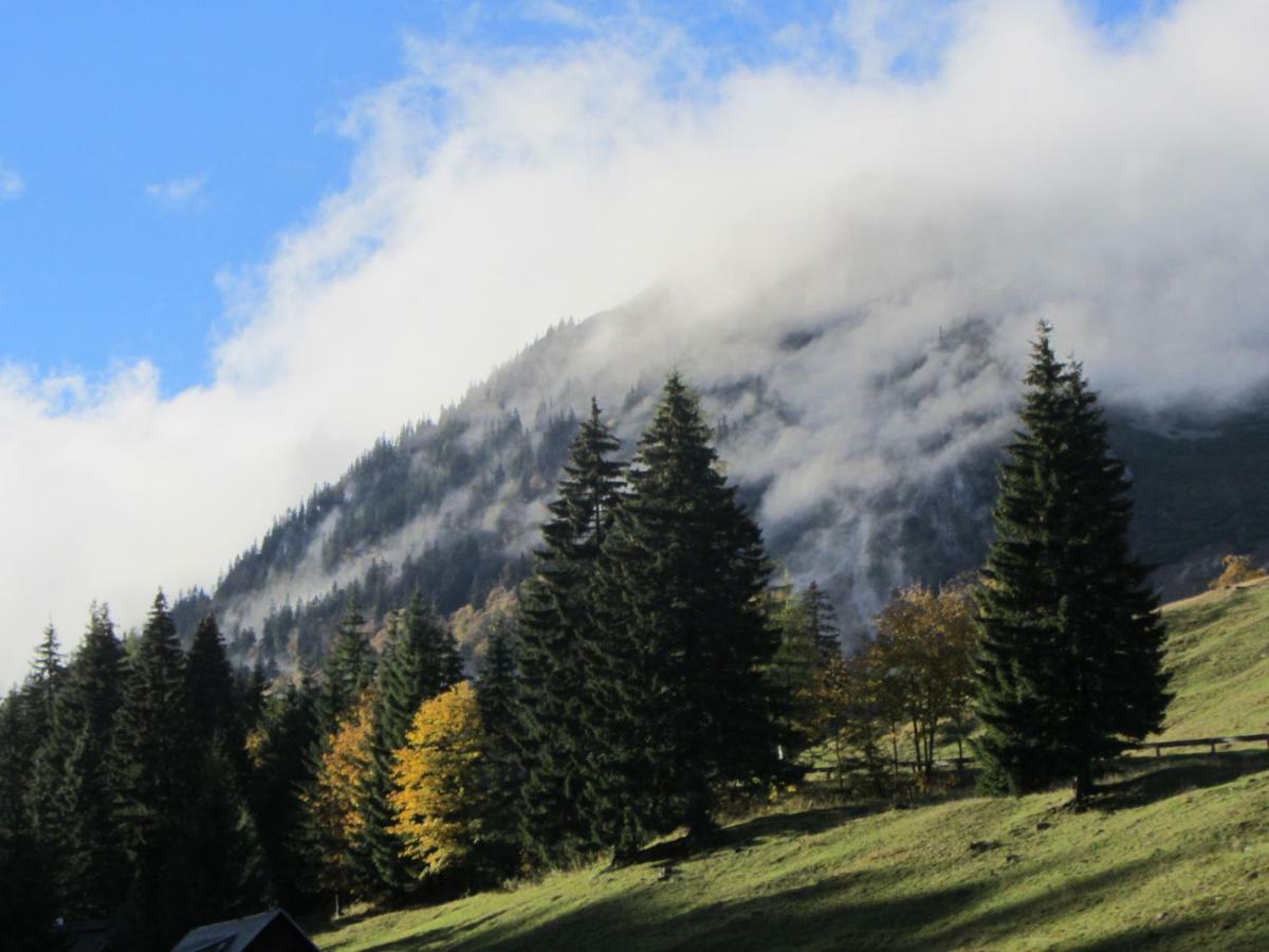 Almgasthaus Seebergalm Turnau 외부 사진